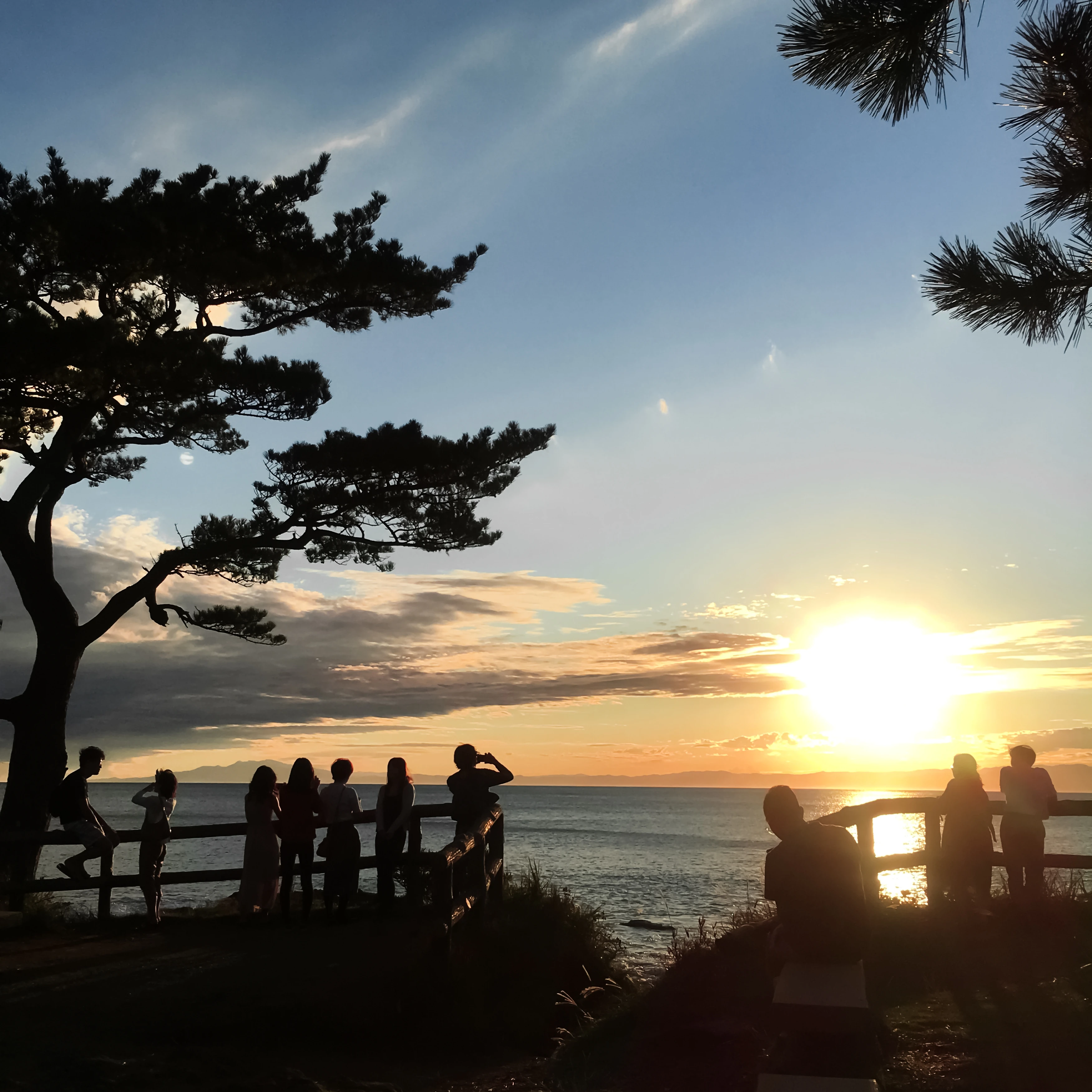 新しい暮らしを福祉のホームで始めよう